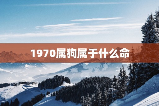 1970属狗属于什么命