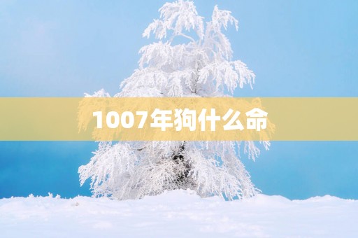 1007年狗什么命