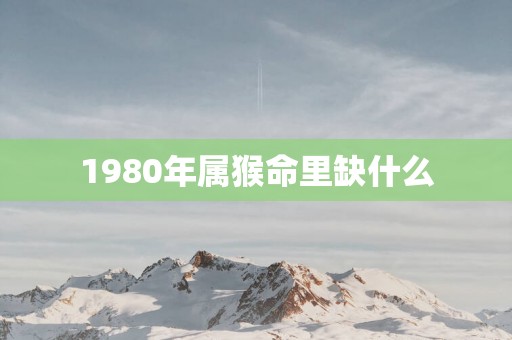 1980年属猴命里缺什么