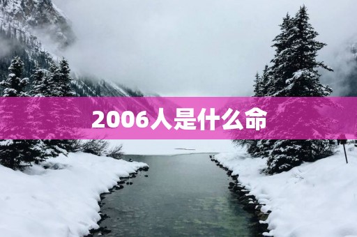 2006人是什么命