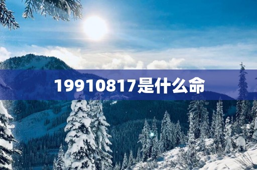 19910817是什么命