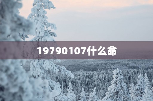 19790107什么命