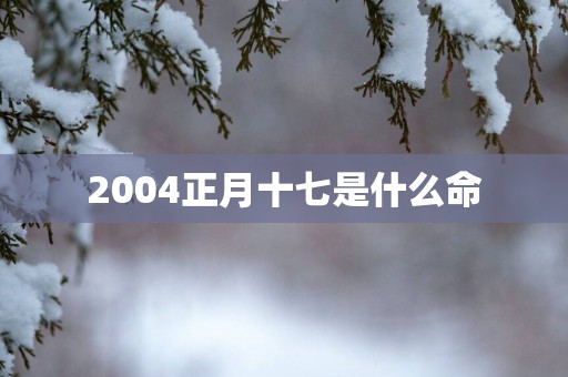 2004正月十七是什么命