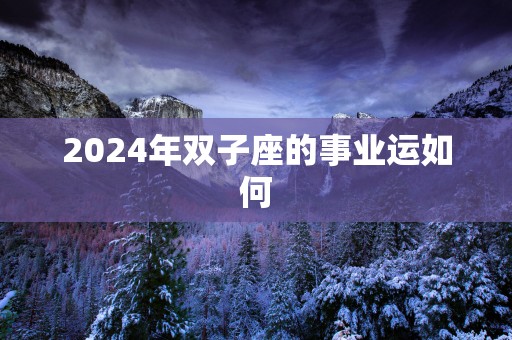 2025年双子座的事业运如何