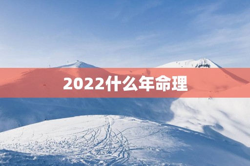 2025什么年命理