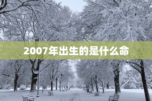 2007年出生的是什么命