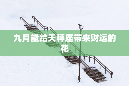 九月能给天秤座带来财运的花