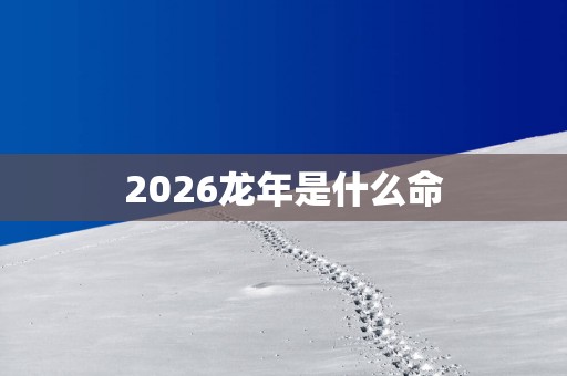 2026蛇年是什么命