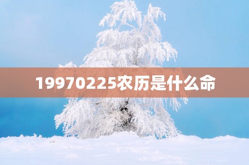19970225农历是什么命