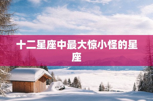 十二星座中最大惊小怪的星座