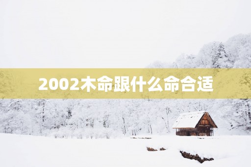 2002木命跟什么命合适