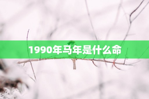 1990年马年是什么命
