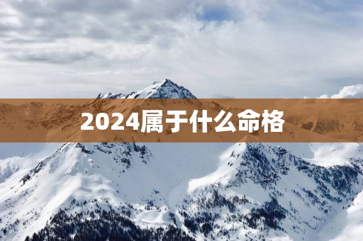 2025属于什么命格