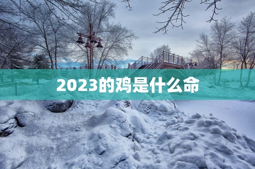 2025的鸡是什么命