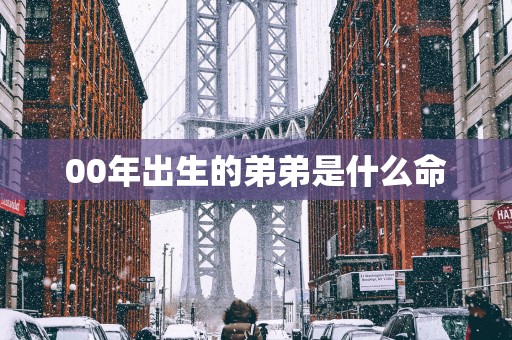 00年出生的弟弟是什么命