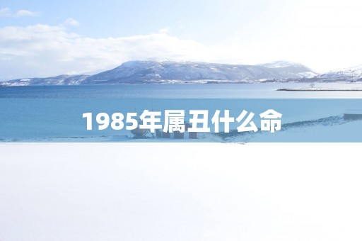 1985年属丑什么命