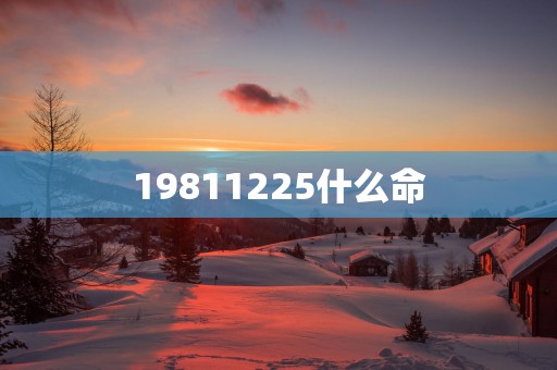 19811225什么命