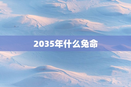 2035年什么兔命