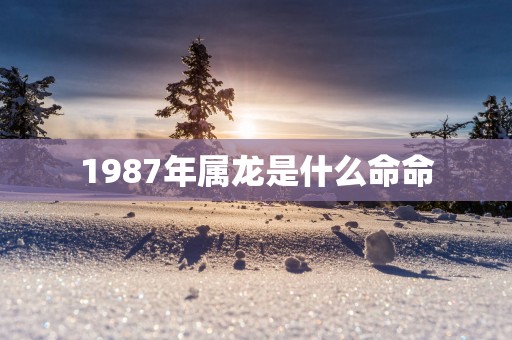 1987年属龙是什么命命