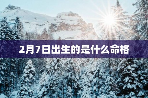 2月7日出生的是什么命格
