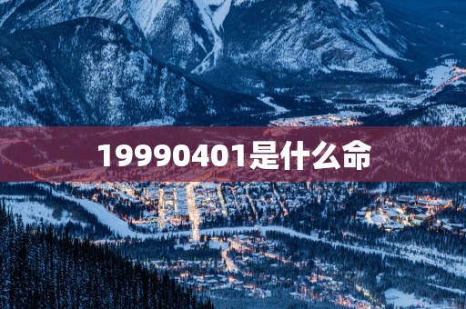 19990401是什么命