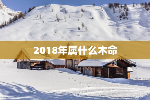 2018年属什么木命
