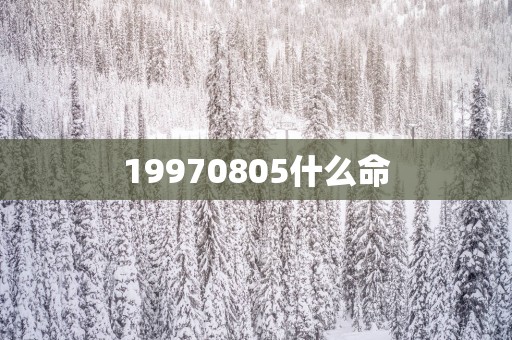 19970805什么命