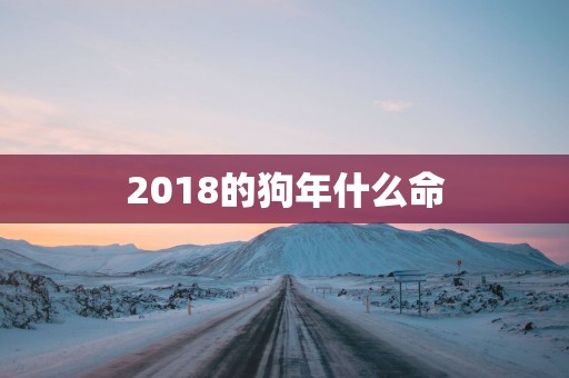 2018的狗年什么命
