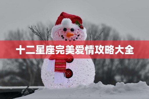 十二星座完美爱情攻略大全