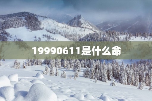 19990611是什么命