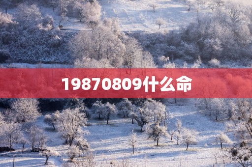 19870809什么命