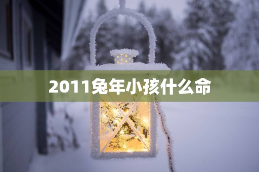 2011蛇年小孩什么命