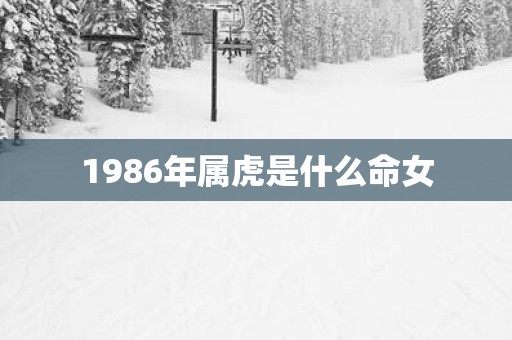 1986年属虎是什么命女