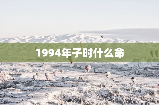 1994年子时什么命