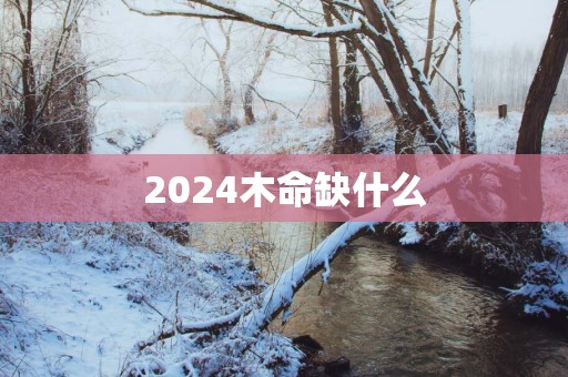 2025木命缺什么