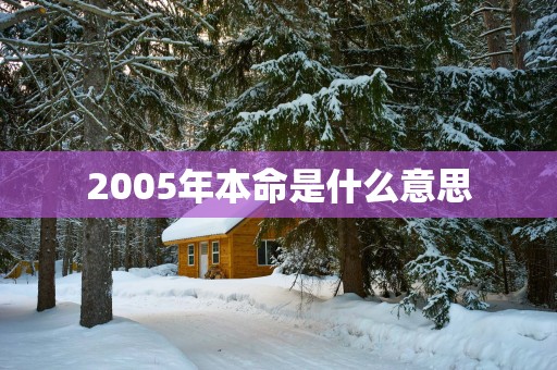 2005年本命是什么意思