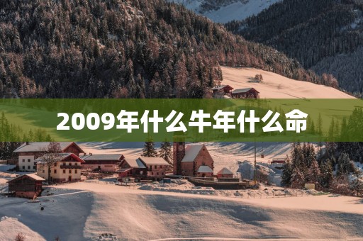 2009年什么蛇年什么命
