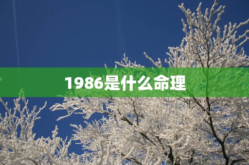 1986是什么命理