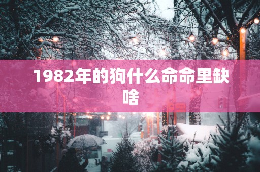 1982年的狗什么命命里缺啥