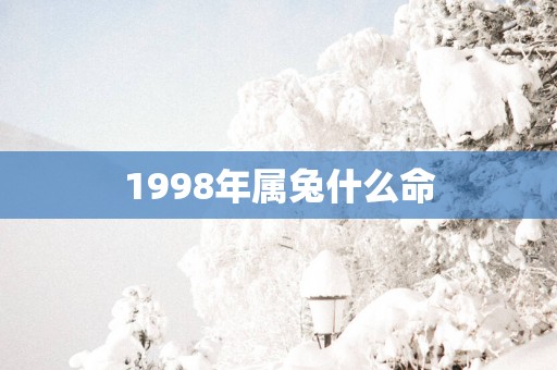 1998年属兔什么命