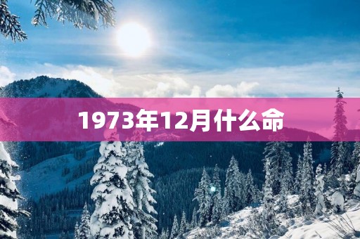 1973年12月什么命
