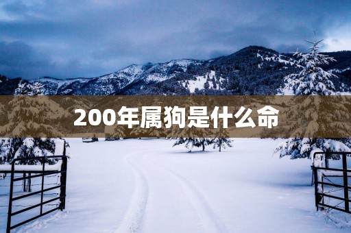 200年属狗是什么命