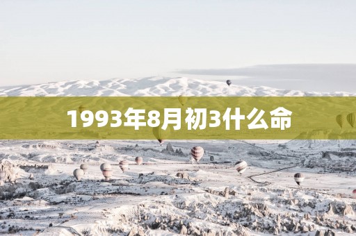 1993年8月初3什么命