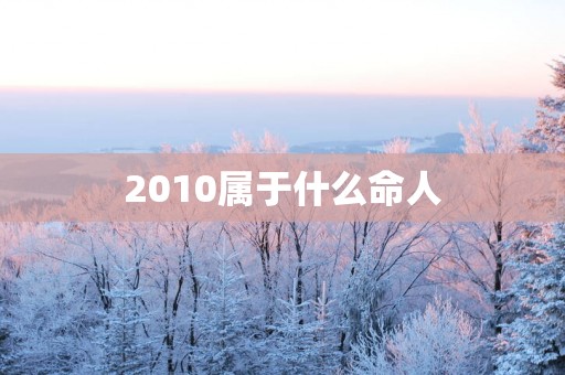 2010属于什么命人