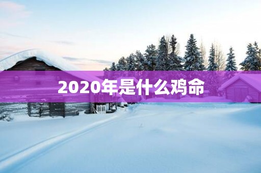 2025年是什么鸡命
