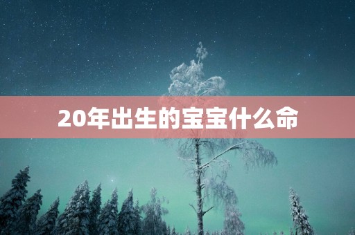 20年出生的宝宝什么命