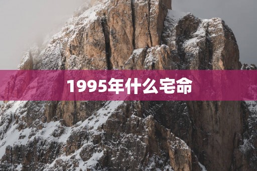 1995年什么宅命