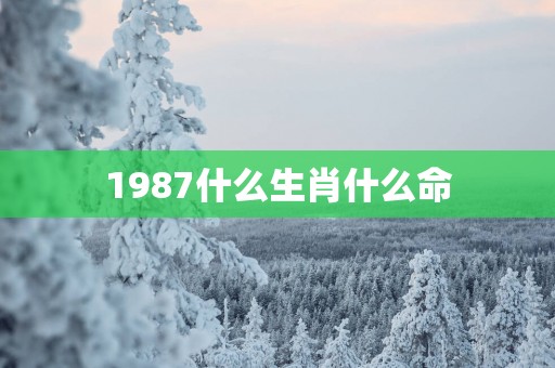 1987什么生肖什么命