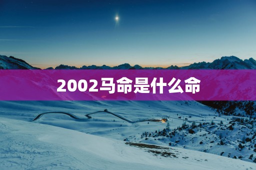 2002马命是什么命