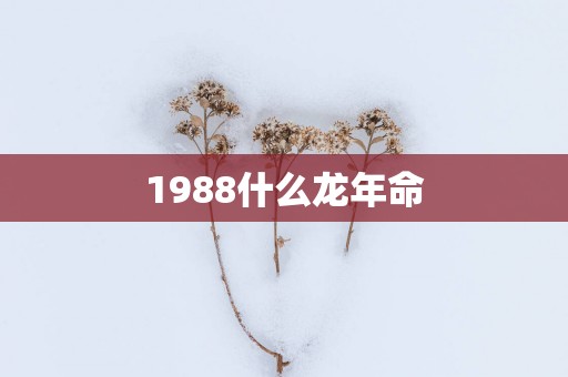 1988什么蛇年命
